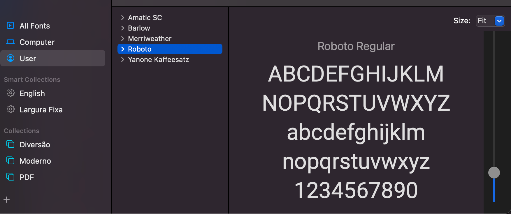 Roboto font installed on the system